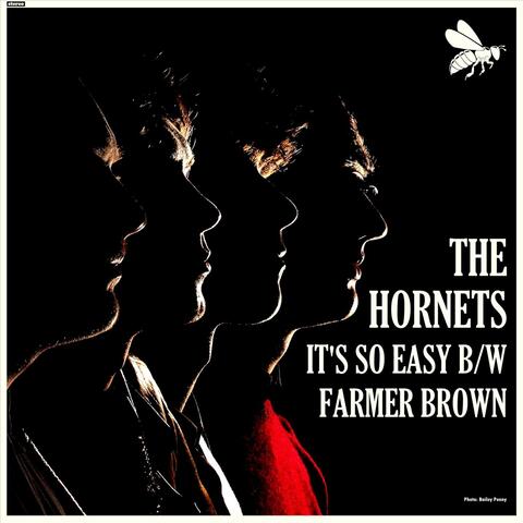 The Hornets