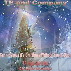 TP and Company-Can't Believe it's Christmas Without You Original
