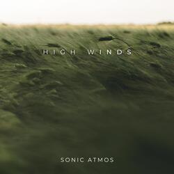 Windy Coma