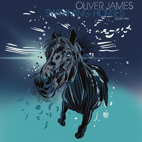 Swimming Horses (Ben Casey 2024 Remix)