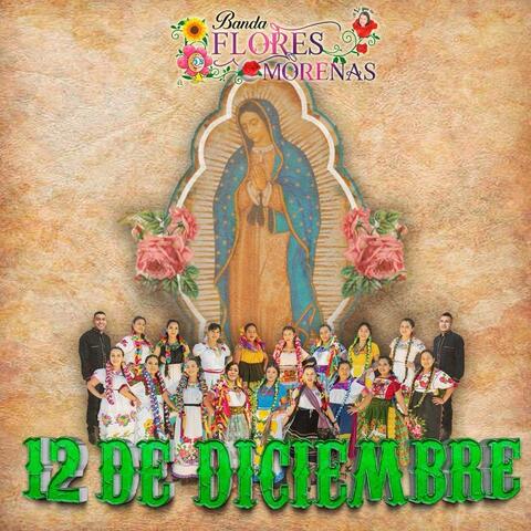 12 DE DICIEMBRE