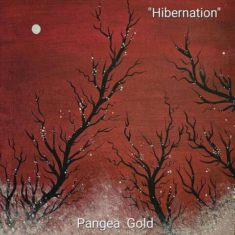 Hibernation