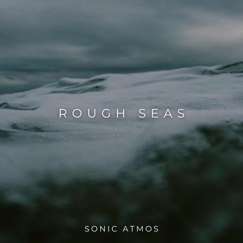 Rough Seas