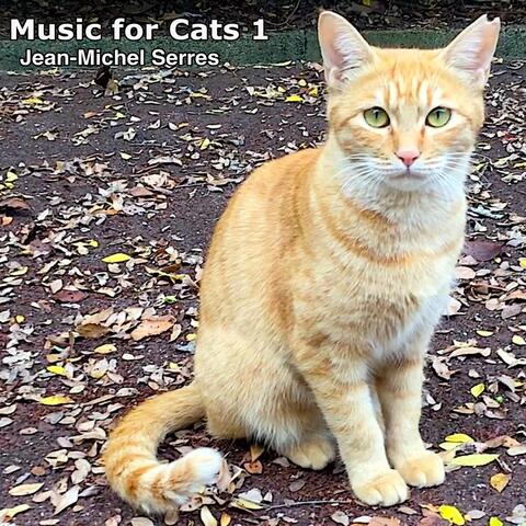 Music for Cats 1
