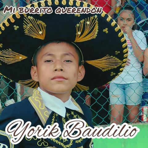 Mi Burrito Querendon