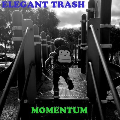 Momentum