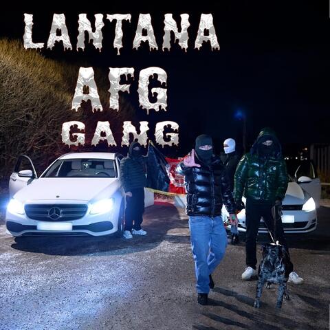 AFG GANG