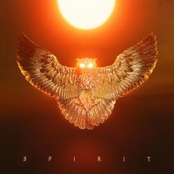 Spirit (feat. Erwin Vesper)