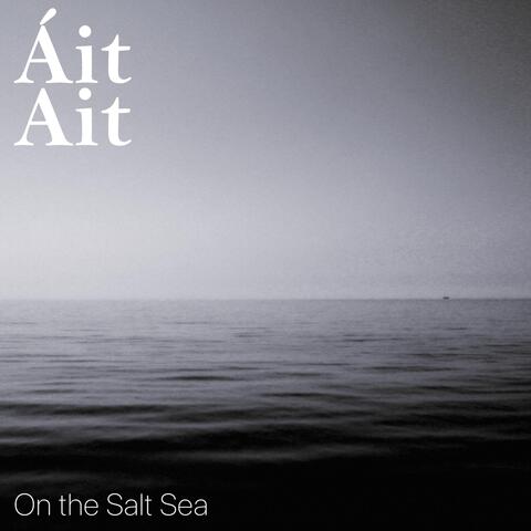 On the Salt Sea