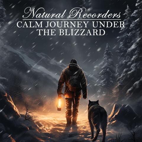 Calm Journey Under the Blizzard