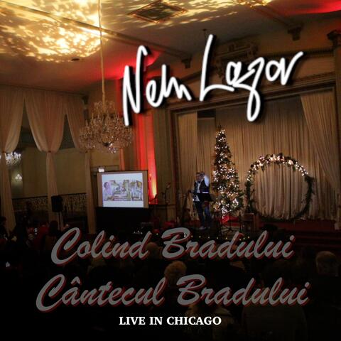 Colind Bradului / Cântecul Bradului (Live în Chicago 2023) [Live]