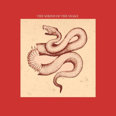The Sound of the Snake