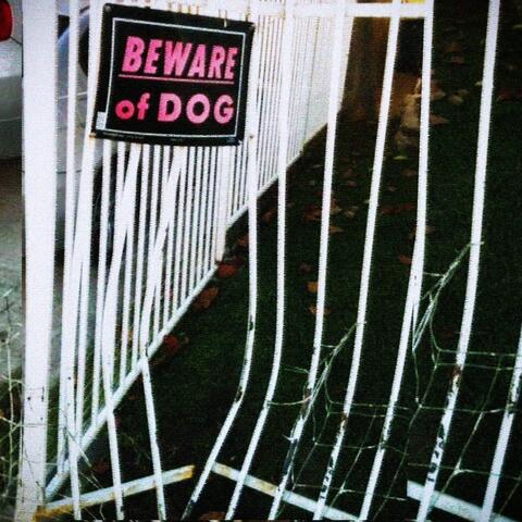 Beware of the Dog