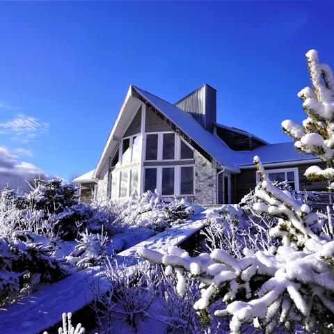 Winter Fantasy Music for Medieval Lute, Celtic Violin, Folk Flute & Guitar