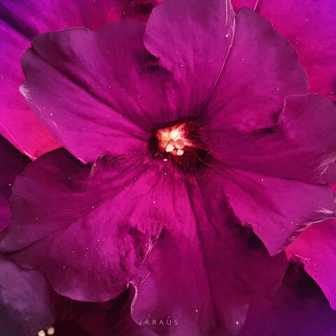 Eden Flower