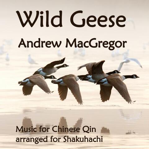 Wild Geese