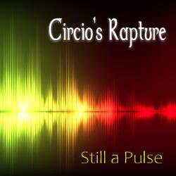 Still a Pulse