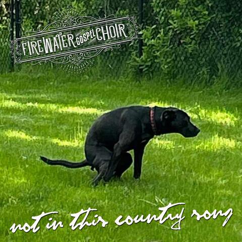 Not in This Country Song