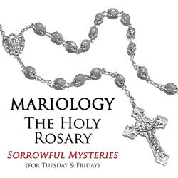 EXPRESS VERSION: Sorrowful Mysteries (Third Decade)