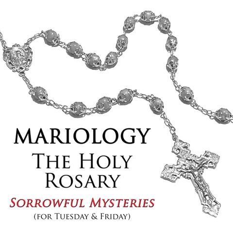 The Holy Rosary - Sorrowful Mysteries (for Tuesday & Friday)
