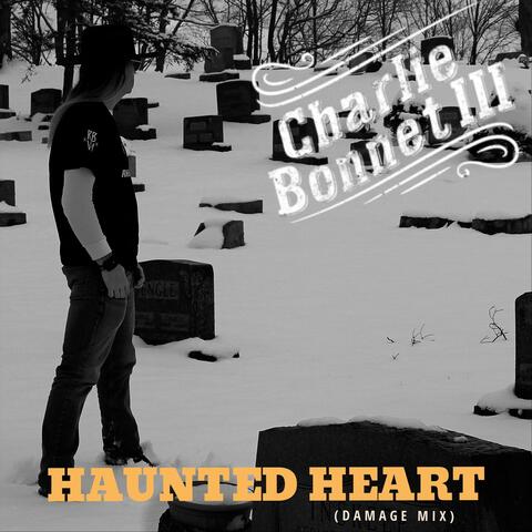 Haunted Heart (Damage Mix)