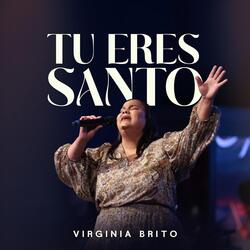 Tu eres Santo (En Vivo)