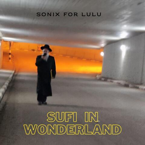 Sufi in Wonderland