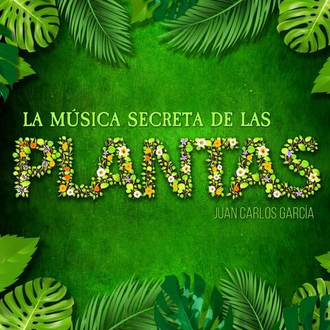 La Música Secreta de las Plantas