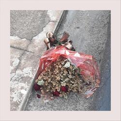 Te Usando (Voz e Guitarra) [Ao Vivo]