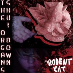 Greetings from a Friendly Intermission