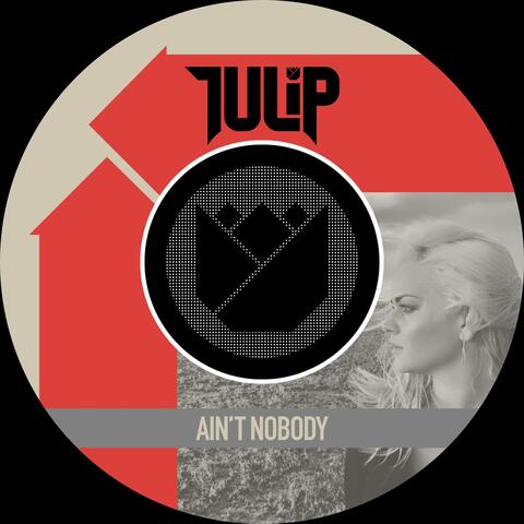 Tulip