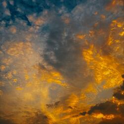 Dreamtime Musings