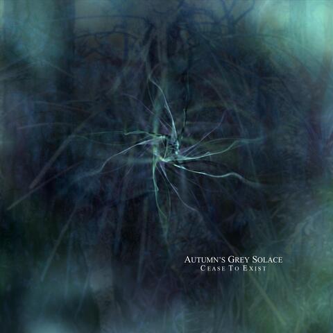 Autumn's Grey Solace