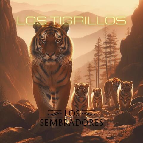 Los Tigrillos