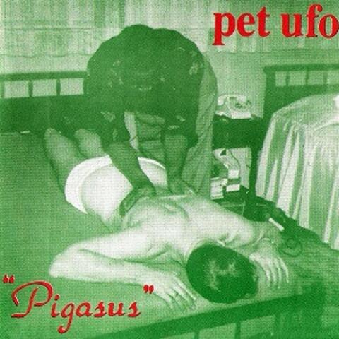 Pigasus