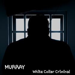 White Collar Criminal