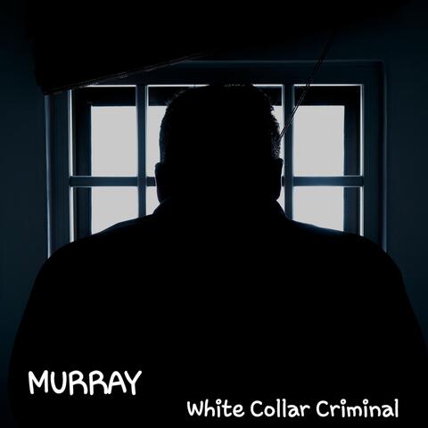 White Collar Criminal