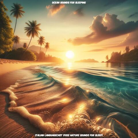 Ocean Sounds for Sleeping