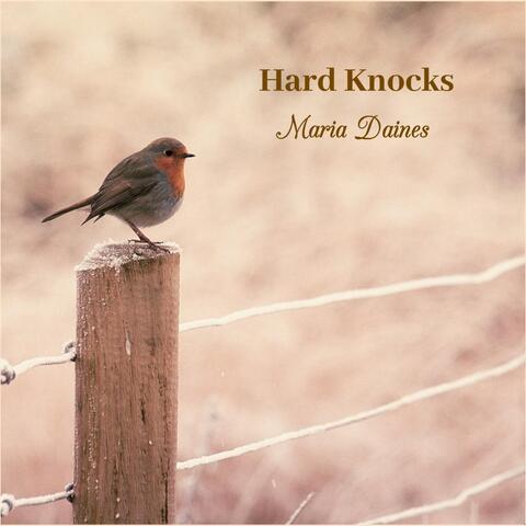 Hard Knocks