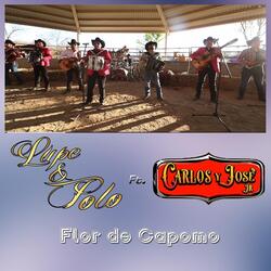 Flor de Capomo (feat. Carlos Y Jose Jr)