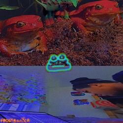 hibernate frog / colors in cold air