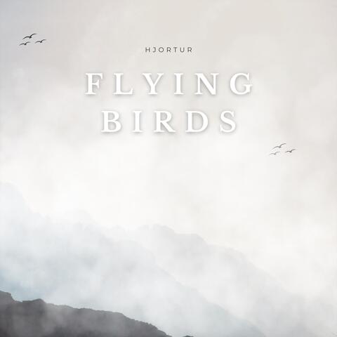 Flying Birds