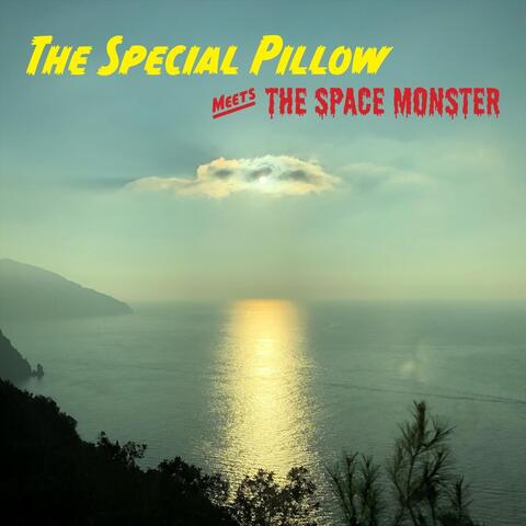 Special Pillow