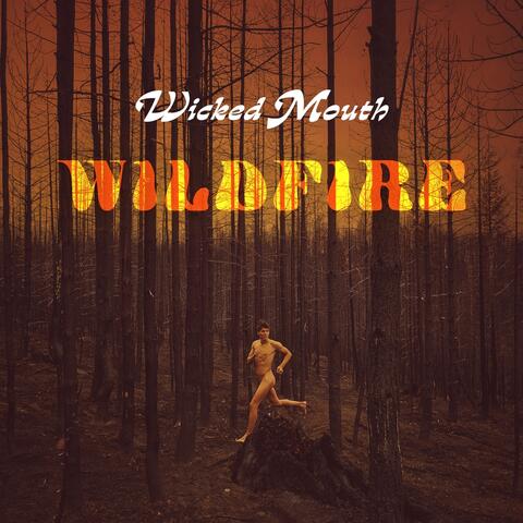 Wildfire