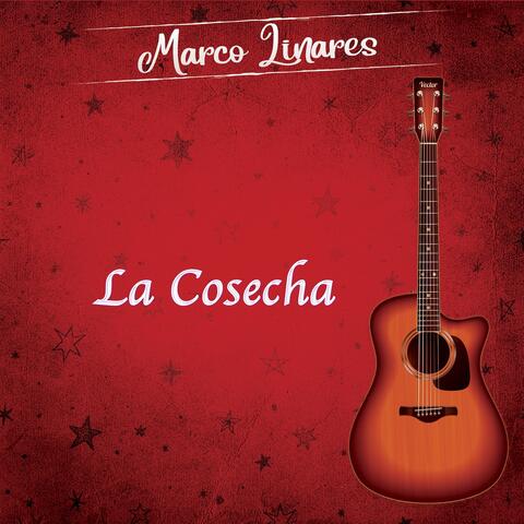 La Cosecha