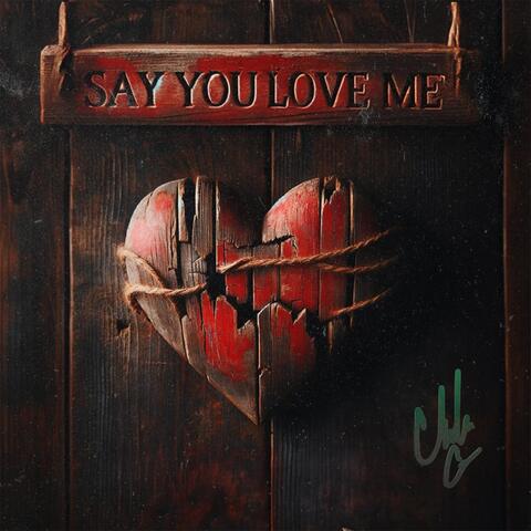 Say You Love Me