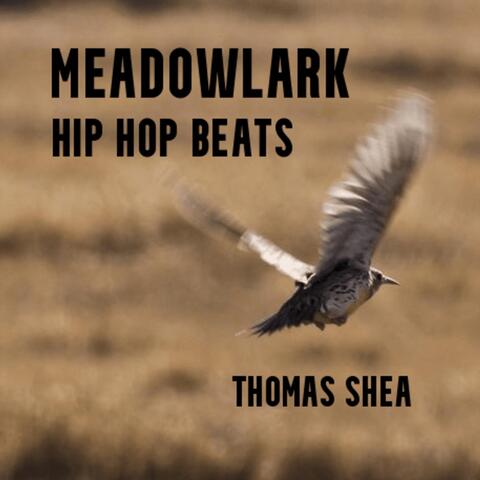 Meadowlark Hip Hop Beats