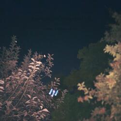 I Hope Truth Finds You, II