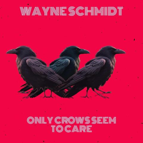 Only Crows Seem to Care