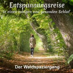Einschlafen Waldspaziergang 7